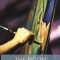 The Moon and Sixpence (Esprios Classics)