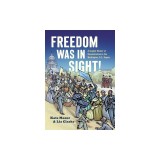 Freedom Was in Sight: A Graphic History of Reconstruction in the Washington, D.C., Region
