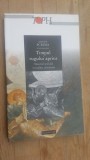 Timpul rugului aprins- Andre Scrima