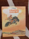 CALUTUL COCOSAT-P.ERSOV (CU ILUSTRATII)