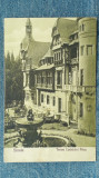 51 - Sinaia Terasa Castelului Peles / carte postala / Editura N. T. Dumitrescu, Circulata, Fotografie