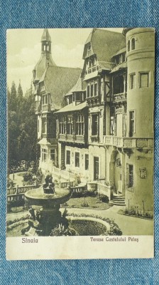 51 - Sinaia Terasa Castelului Peles / carte postala / Editura N. T. Dumitrescu foto