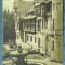 51 - Sinaia Terasa Castelului Peles / carte postala / Editura N. T. Dumitrescu