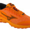 Pantofi de alergat Mizuno Wave Rider GTX J1GC227902 portocale