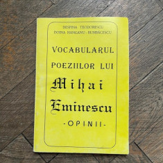 Despina Teodorescu Vocabularul poeziilor lui Mihai Eminescu