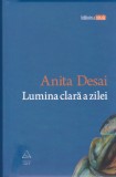 AS - ANITA DESAI - LUMINA CLARA A ZILEI