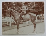 MAIOR ROMAN , CAVALERIST , CALARE PE CAL , FOTOGRAFIE , 1915