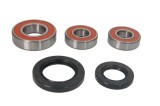 Cumpara ieftin Kit rulment roata spate (cu etansanti) pentru YAMAHA FZ, FZR, FZS, YZF 400/600 1994-2000