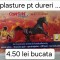Plasture de dureri