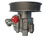 SPIDAN 52766 Pompa hidraulica, sistem de directie