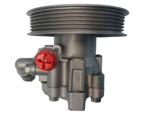 SPIDAN 52766 Pompa hidraulica, sistem de directie