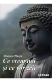 Ce vrem noi si ce vor zeii - Dragos Obreja