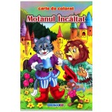 Motanul Incaltat B5 - Carte de colorat