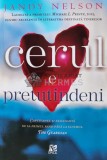 Cumpara ieftin Cerul e pretutindeni - 2015 - Jandy Nelson (B98)