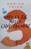 Oare ce zic melcii cand zboara - Adrian Voicu - Carte Copii, Povesti Ilustrate