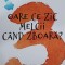 Oare ce zic melcii cand zboara - Adrian Voicu