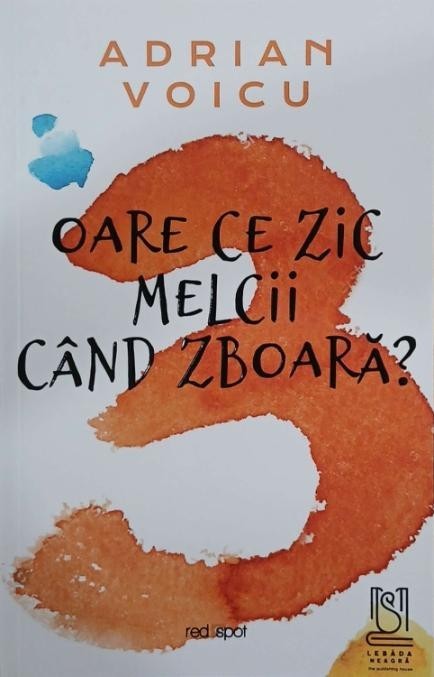 Oare ce zic melcii cand zboara - Adrian Voicu