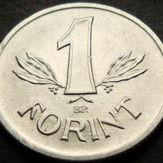 Moneda 1 FORINT - RP UNGARIA , anul 1981 *cod 5198 = A.UNC +