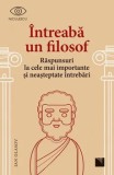 Intreaba un filosof. Raspunsuri la cele mai importante si neasteptate intrebari/Ian Olasov, Niculescu