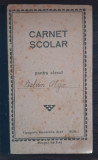 CARNET SCOLAR - SCOALA PRIMARA DE STAT TIMISOARA - 1929, Romania 1900 - 1950, Documente