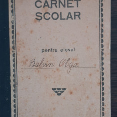 CARNET SCOLAR - SCOALA PRIMARA DE STAT TIMISOARA - 1929