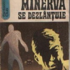 Rodica Ojog-Brasoveanu - Minerva se dezlănţuie