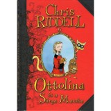 Ottolina &eacute;s a S&aacute;rga Macska - Chris Riddell