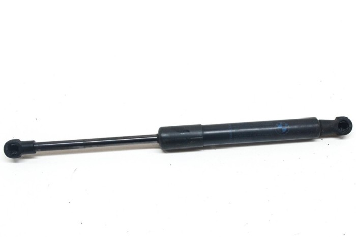 Amortizor capota st&acirc;nga față BMW 6 E63 2007 OEM: 7070670 13499583