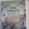 Cartea &icirc;nt&acirc;mplărilor: Mistere, ciudățenii, uimiri -Tatiana Niculescu