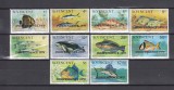 St. Vincent - Fauna Marina - PESTI - MNH