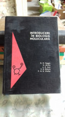 INTRODUCERE IN BIOLOGIA MOLECULARA - G.H. HAGGIS