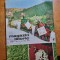 revista magazin istoric decembrie 1971