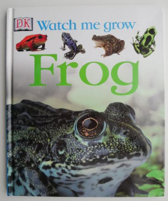 Watch Me Grow Frog foto