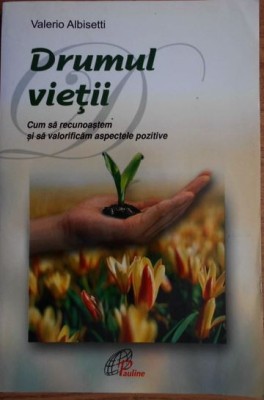 Valerio Albisetti - Drumul Vietii. Cum sa recunoastem si sa valorificam aspectele pozitive. foto