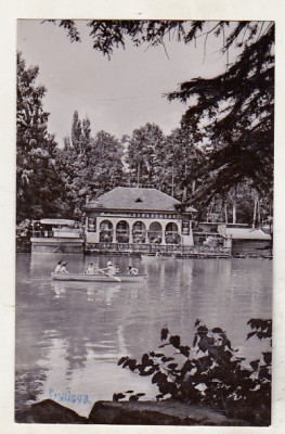 bnk cp Craiova - Vedere din Parcul poporului - uzata foto