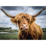 Puzzle Bovina, 300 Piese, Ravensburger