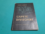 CAPETE DIVIZOARE / E. BOTEZ, A. STAMBLER/ 1957 *