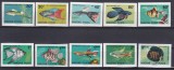 DB1 Ungaria 1962 Pesti NDT 10 v. MNH