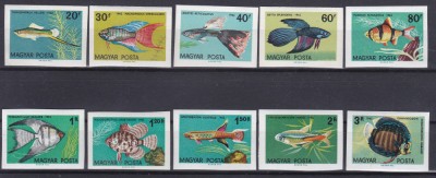 DB1 Ungaria 1962 Pesti NDT 10 v. MNH foto