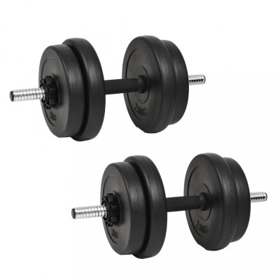Ganteră cu discuri greutate, 40 kg foto