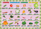Cumpara ieftin Planșă - Legume - Hardcover - Ars Libri
