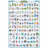 Poster Maxi Pokemon - 91.5x61 - Hoenn Pokemon English
