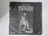 Disc Vinil RAR- PHOENIX &ndash; Mugur De Fluier - ORIGINAL 1974 - Disc De Colectie, Prog Rock, Folk Rock, Folk