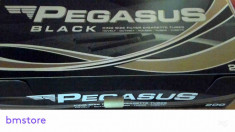 Tuburi Tigari Pegasus Black foto