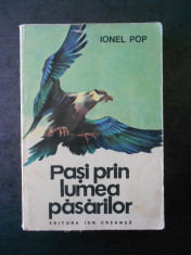 IONEL POP - PASI PRIN LUMEA PASARILOR {1979, ilustratii de Dumitru Ionescu} foto