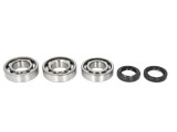 Cumpara ieftin Lagare cu arbore cotit set cu garnituri pentru POLARIS BIG BOSS, HAWKEYE, TRAIL BOSS, XPLORER, XPRESS 250/300 1994-1999