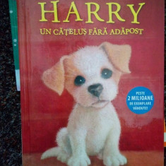 Holly Webb - Harry un catelus fara adapost