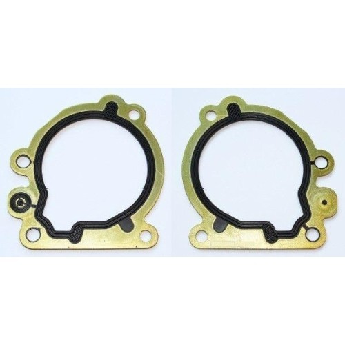 Elring Garnitura, pompa combustibil