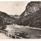 CPIB 22494 - CARTE POSTALA - DEFILEUL OLTULUI, RPR