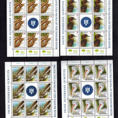 Romania 2010 Fauna Ocrotita Delta Minicoli 8 timbre vinieta Serie MNH LP 1868 c